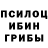 Галлюциногенные грибы мицелий Lagerth a