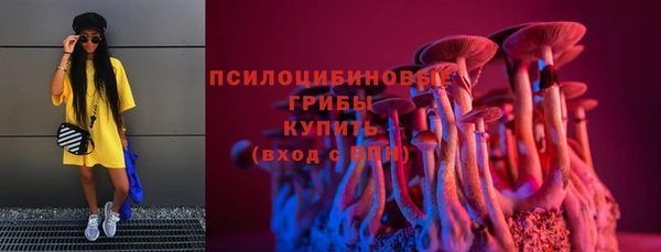 ешки Вяземский
