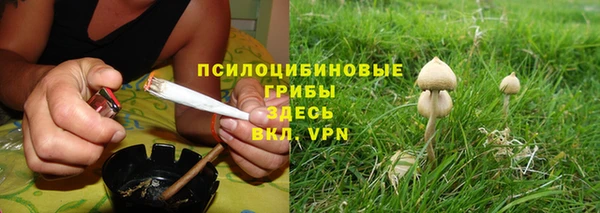 apvp Медвежьегорск