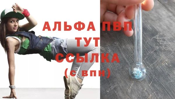 соль ск Горно-Алтайск