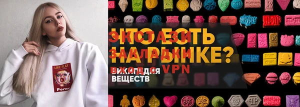 стаф Вязьма