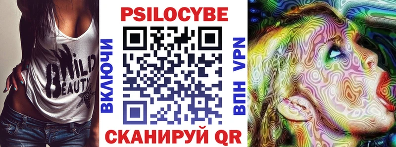 ссылка на мегу ссылка  Дмитриев  Псилоцибиновые грибы Psilocybe 